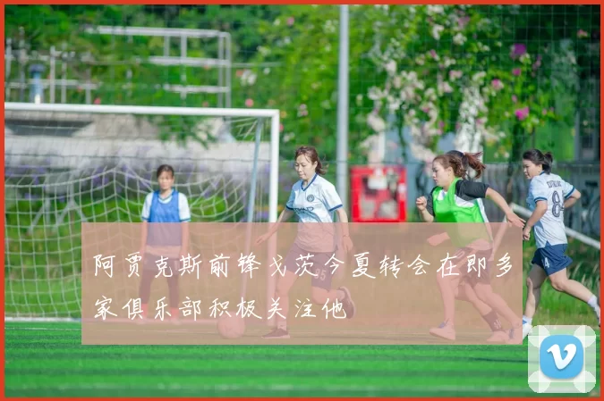 阿贾克斯前锋戈茨今夏转会在即多家俱乐部积极关注他
